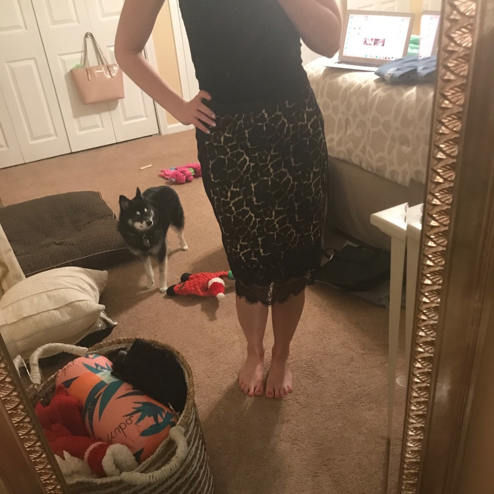 Black and leopard lace midi skirt NWT